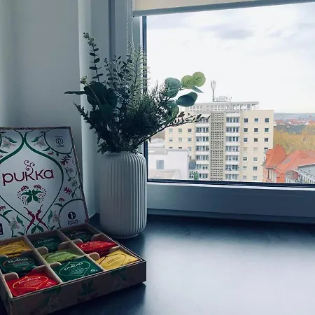 Mit Penthouse Charakter In 公寓 *